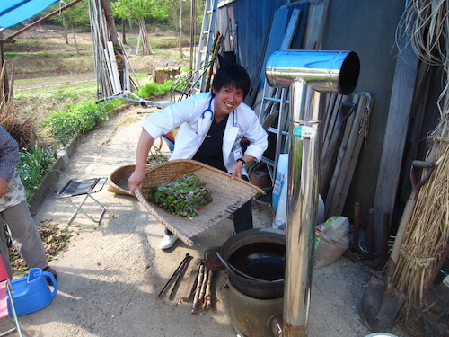 ゼンマイは一度茹でてから干して揉むことで美味くなる。