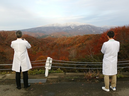 紅葉の守門岳を望む。診療所は山を臨む高台にあった。