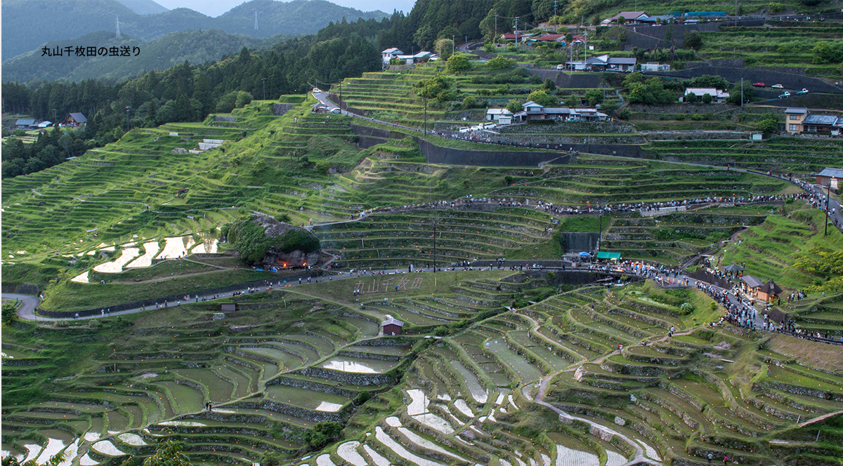 丸山千枚田の虫送り