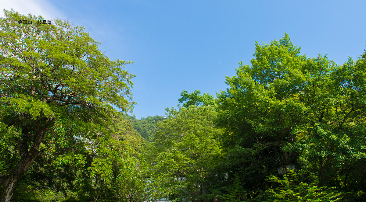 金華山　岐阜県